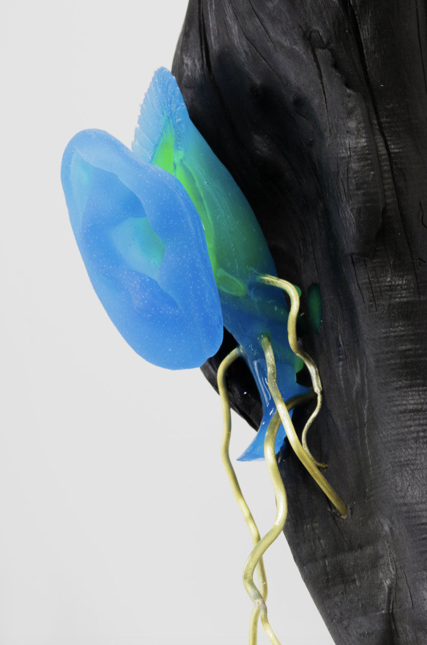 Screenshot 2025-10-22 at 23.02.37