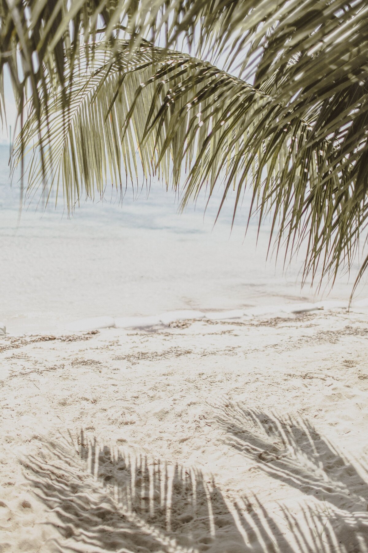 Beach Print