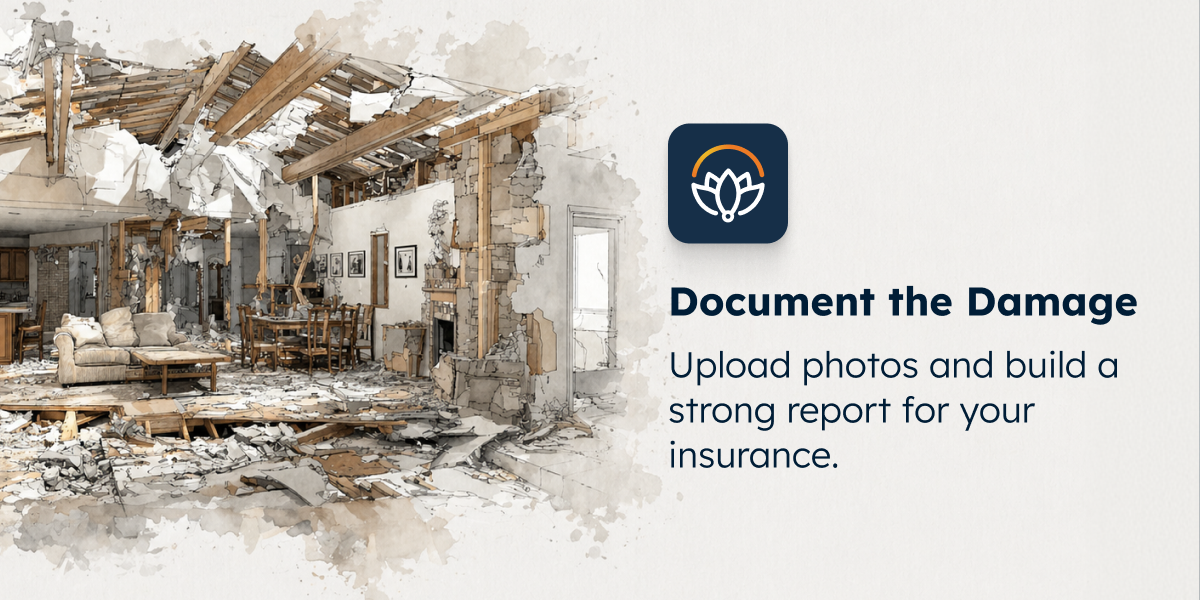 Document the Damage | Loti Tools