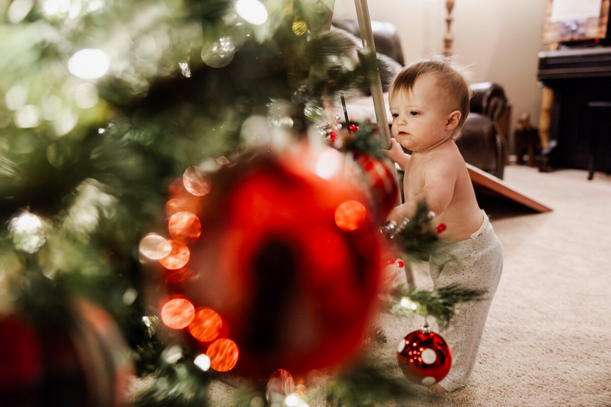 houston-christmas-mini-sessions-2024_248