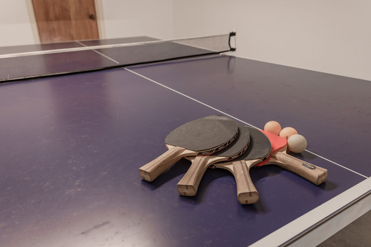 Ping pong table with four paddles in this 2-bedroom, 2-bathroom lakeside vacation rental home for 6 guests on Tradinghouse Lake with privacy access to a fishing dock and boat launch pad, ping pong table, gazebo, free wifi and free parking in Waco, TX.