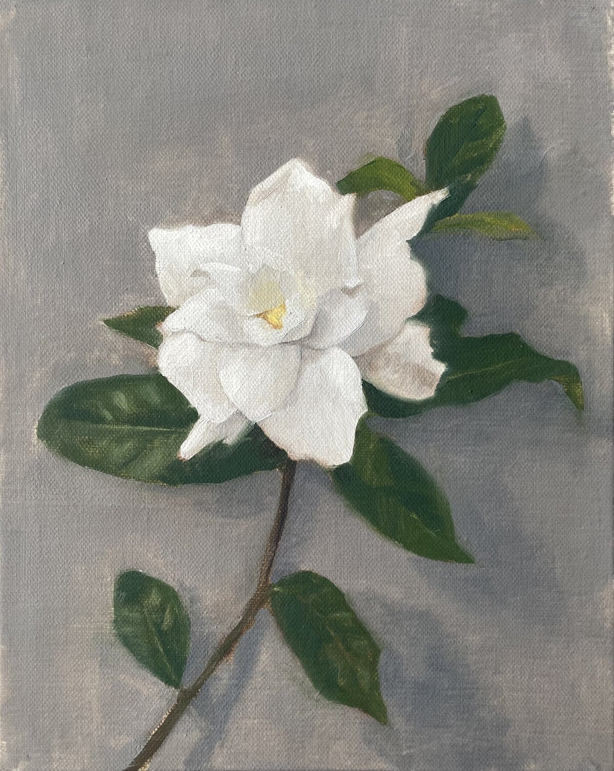 Gardenia, September