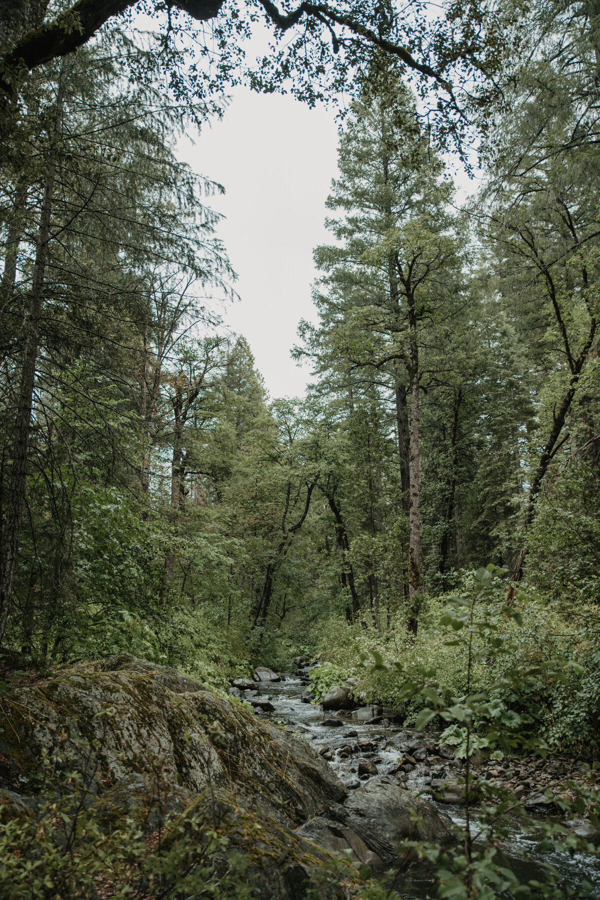 MountainTimePhotography-884