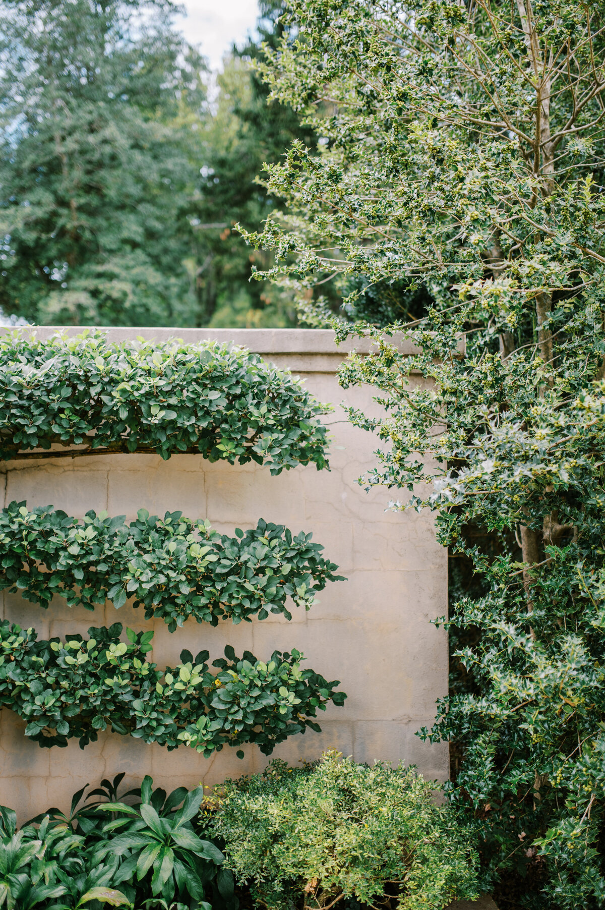 Glenstone-Gardens-Editorial-27