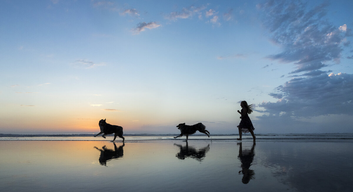best pet photographer 2 copy
