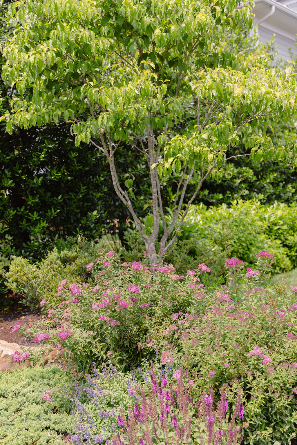 low maintenance landscape ideas 2