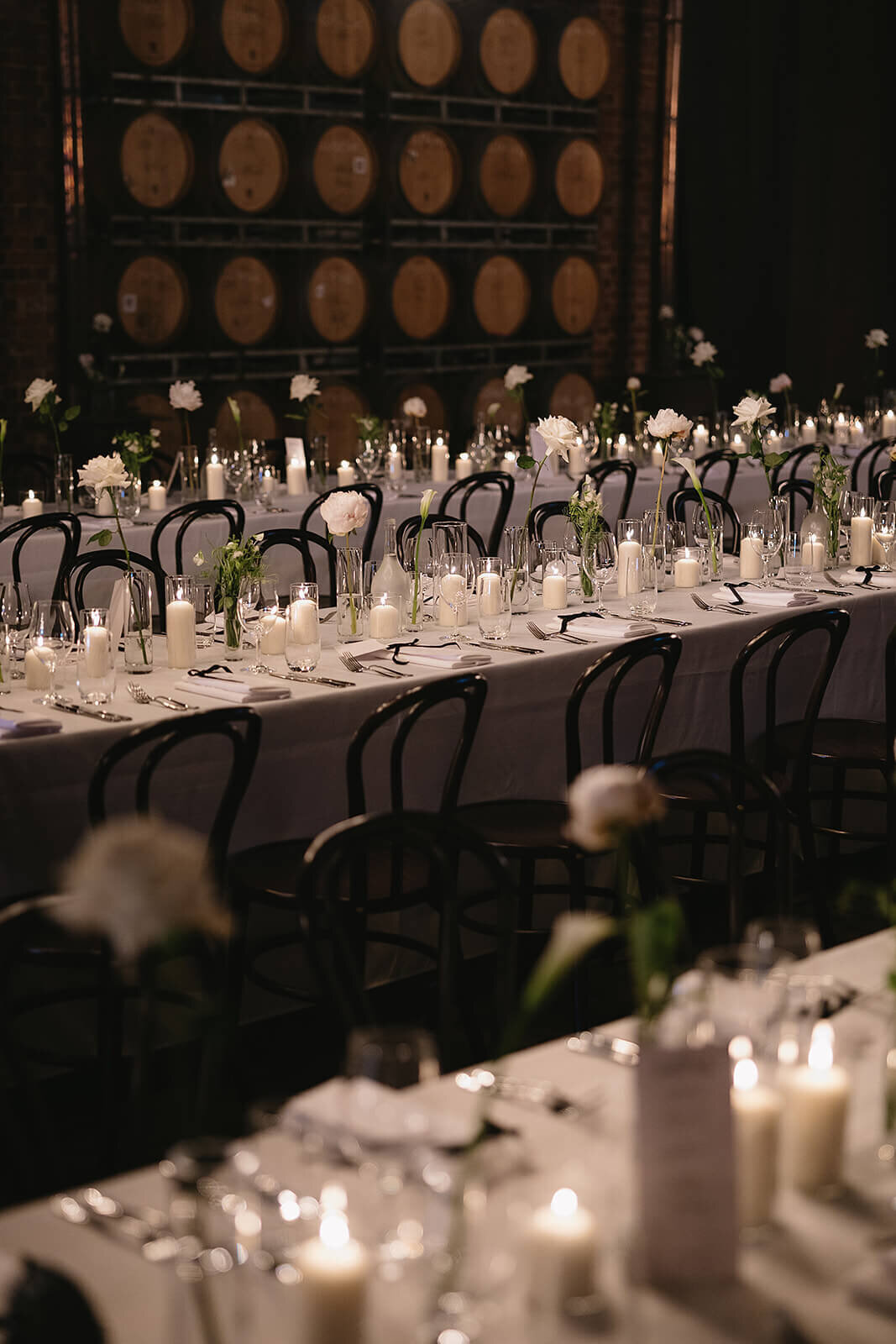 Tayla and Declan x Ashleigh Haase Photography-314