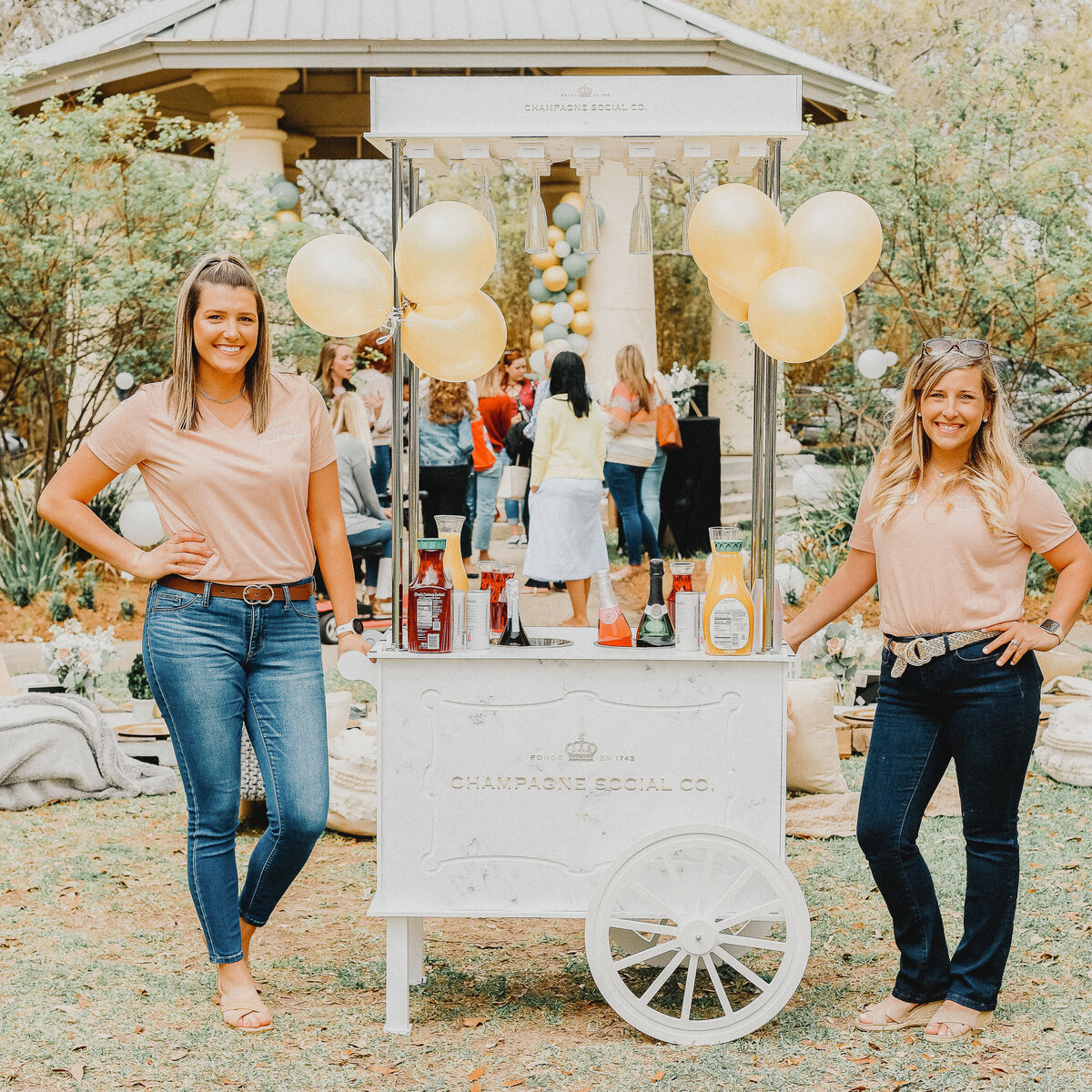 champagne-social-mini-bar-cart-event (8)