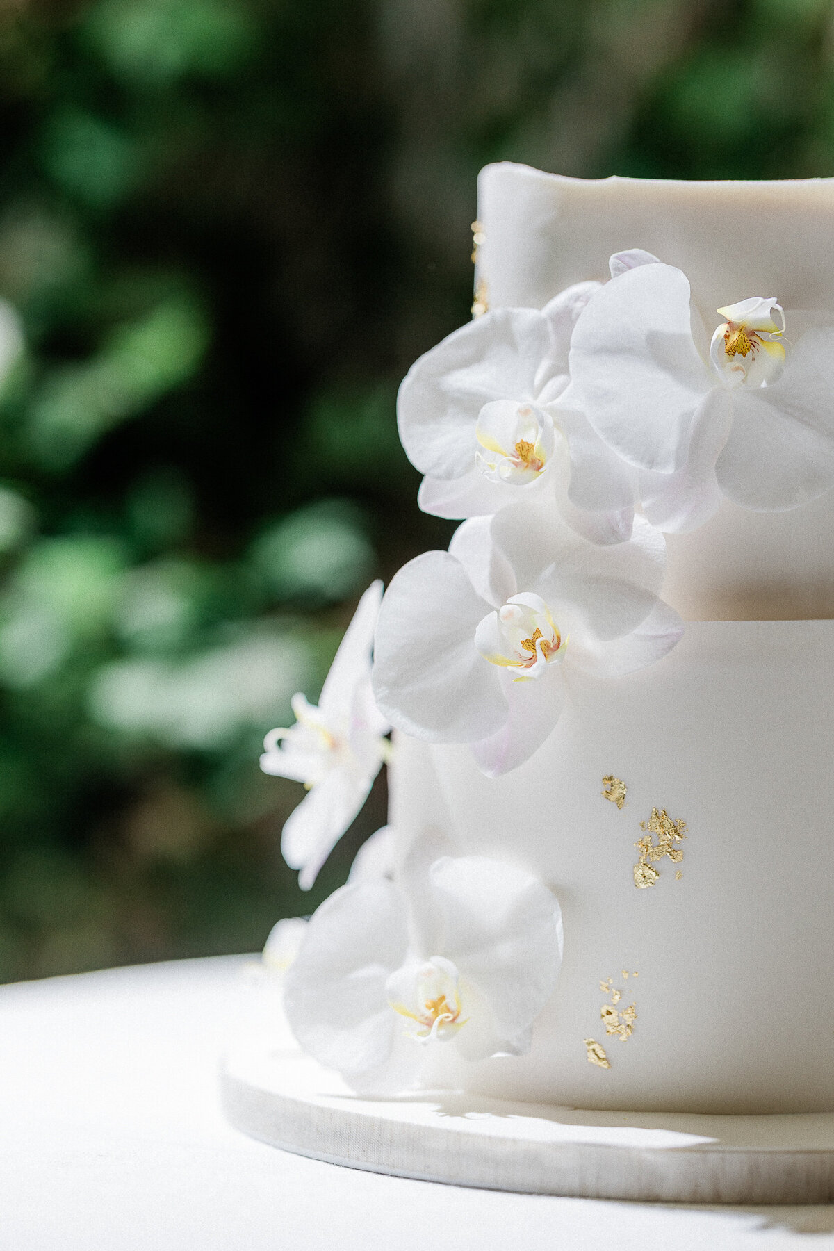new york clastell wedding photography
