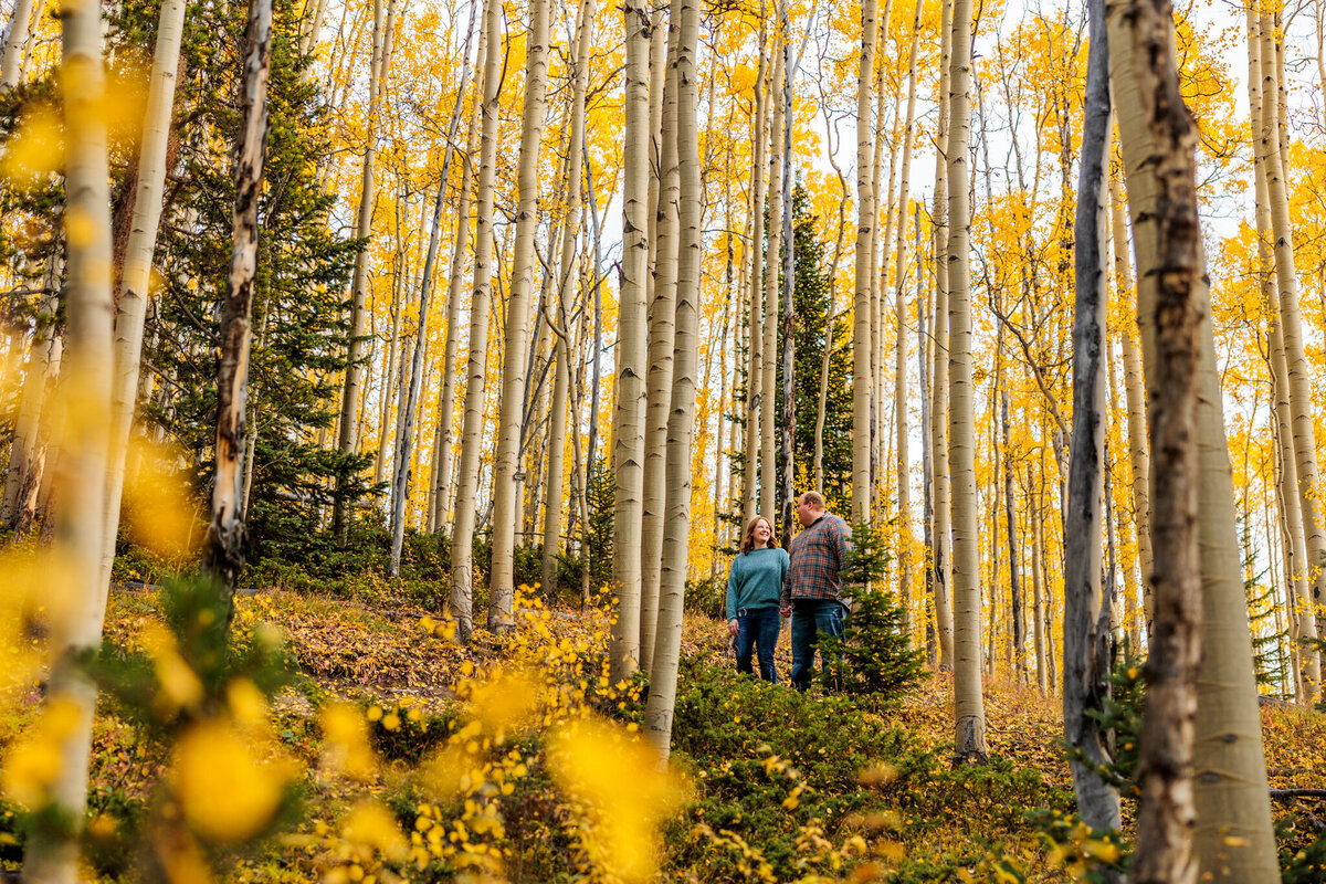 Colorado Engagement Photographer-2