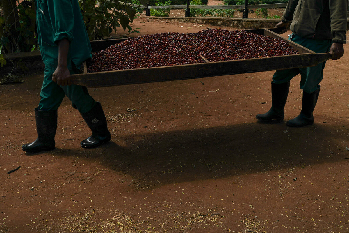 luxury-vacation-photographer-kirsten-lewis-arusha-tanzania096