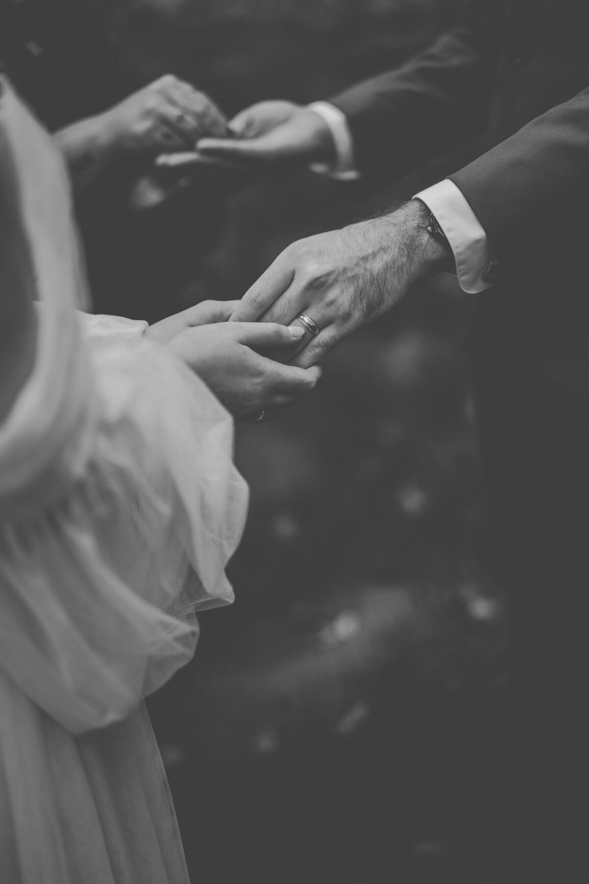 katherinedaniel_0007