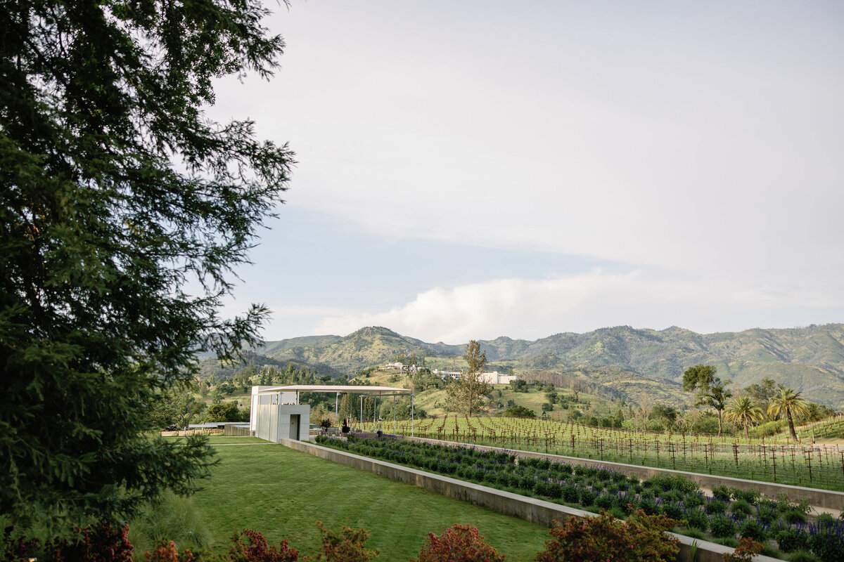025-larissa-cleveland-laurie-arons-events-wedding-california-photographer-228