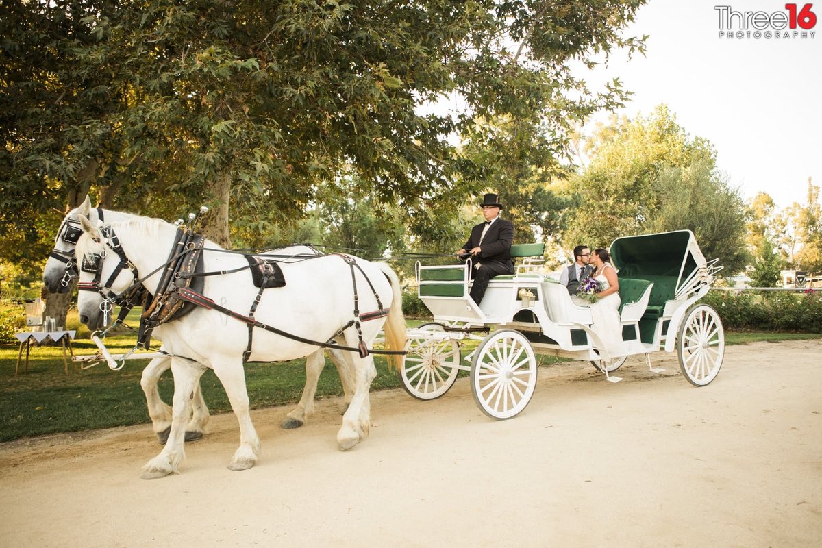 Newly married couple share a kiss while on a horse drawn carriage