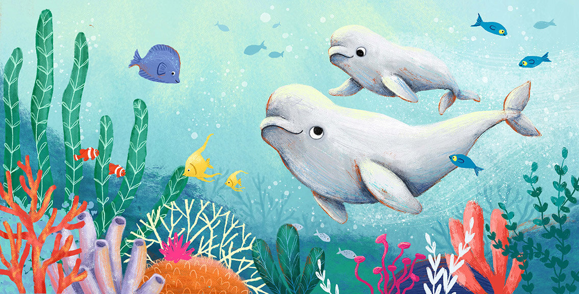 Natalie Merheb - Beluga Whales