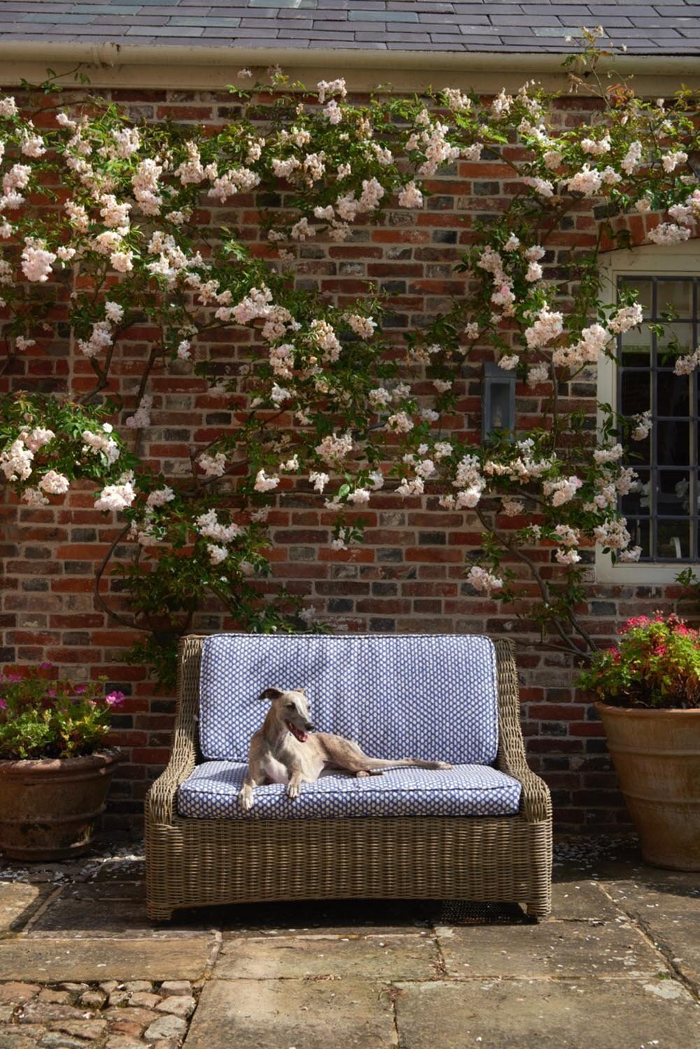 LIFESTYLE-OUTDOOR-SOFA-POLYESTER-WICKER-OUTWICK-602-BLUE-DOG-LOW
