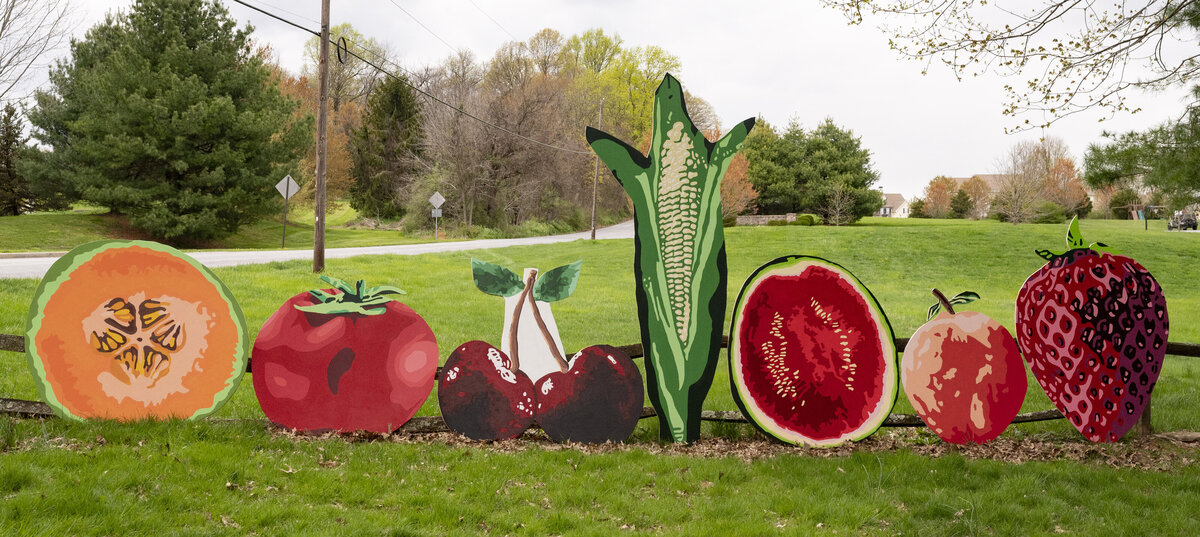 2021-04 Blake_s Corner Garden Fruit-Veggie Signs