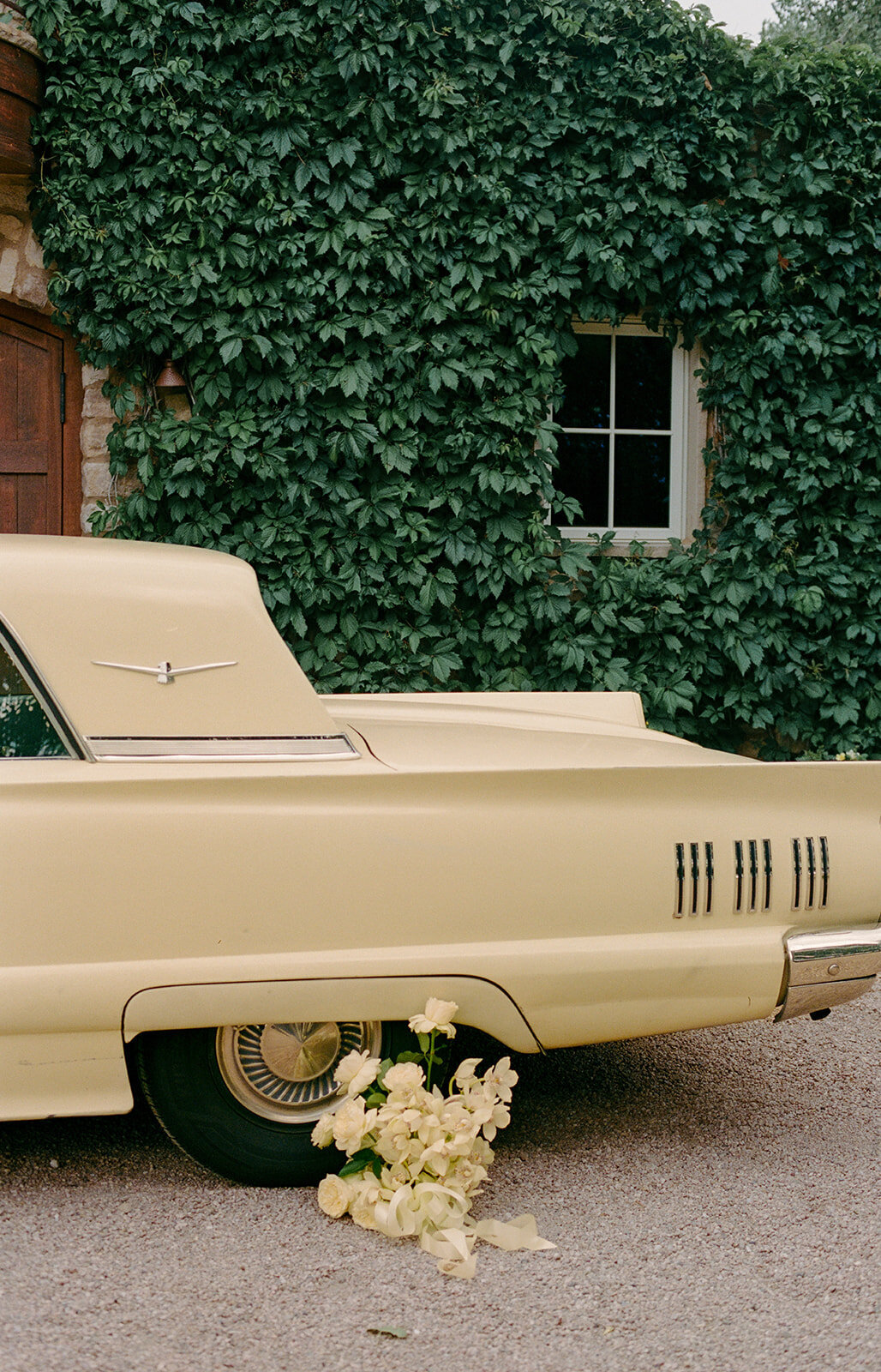 coloradostyleshootfilm2025-0003