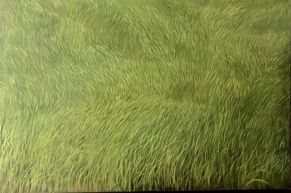 Grass and Wind