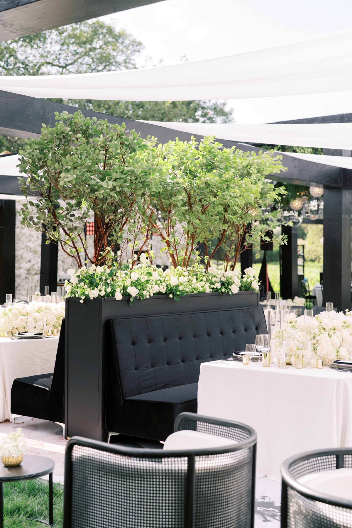 WILLOW-BEN-WEDDING-NAPA-PHOTOGRAPHER-20