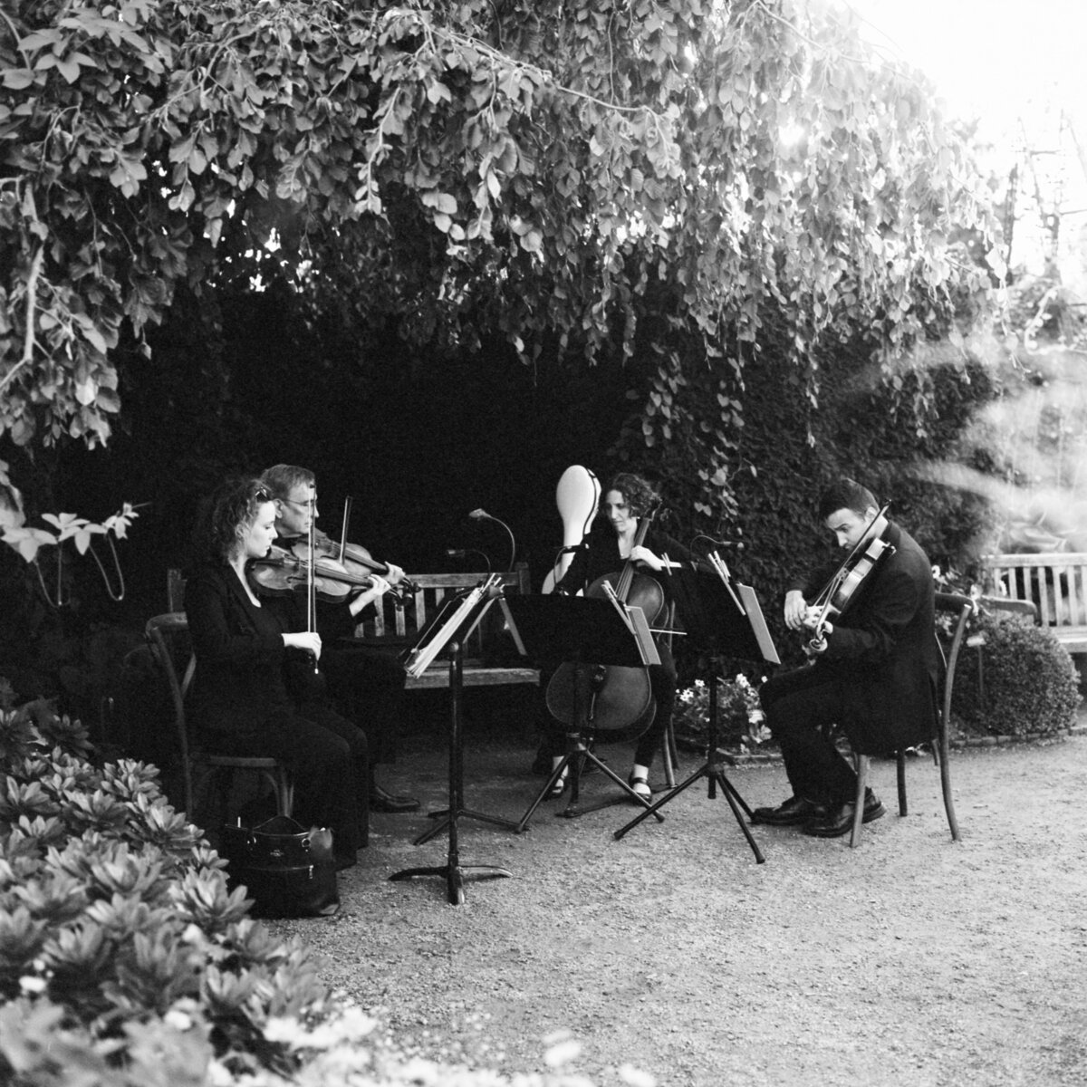 cm-botanic-garden-rehearsal-1