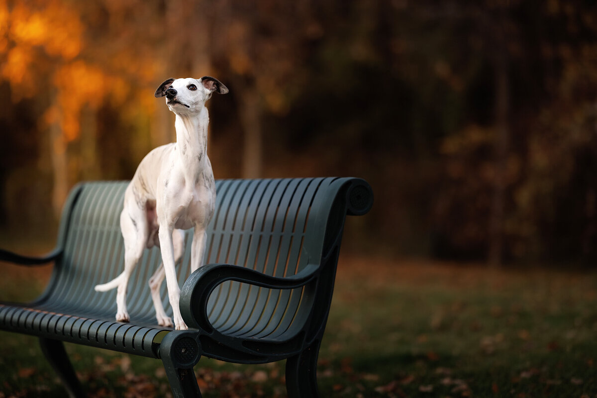 SNL_0569-Enhanced-NR-Edit