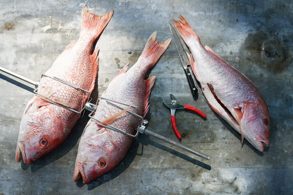 charlie mckenna fish