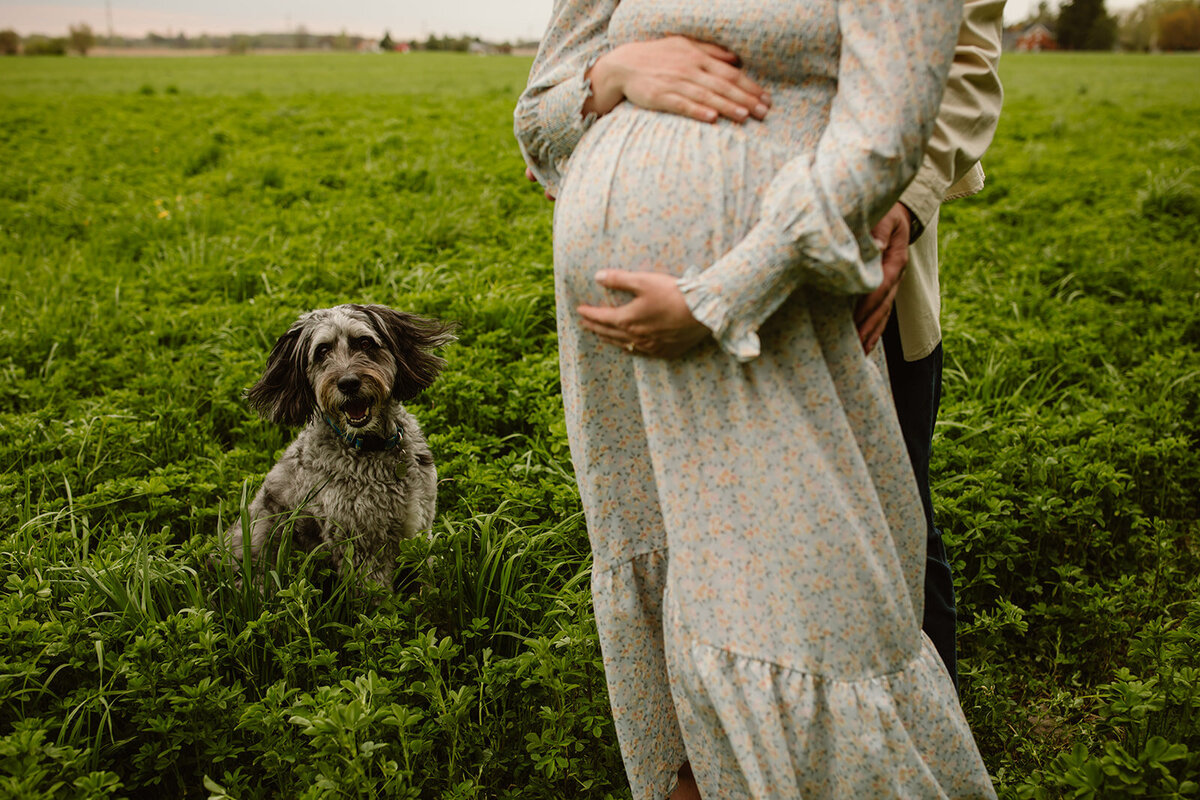 prince_edward_county_maternity_photographer_008