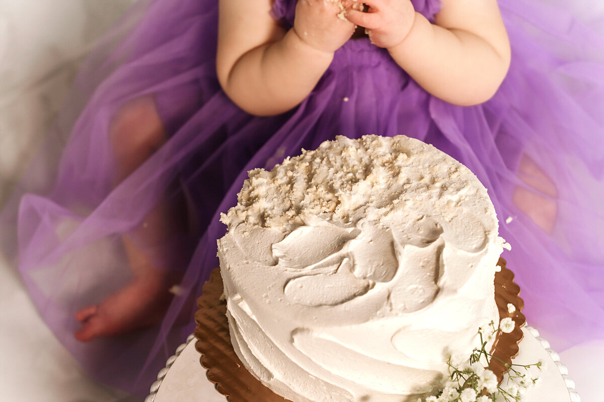 Buffalo NY Cake Smash Photographer WNY Cake Smash Photographer Rochester NY Cake Smash Photographer Newfane NY Cake Smash Photographer Wilson Ny cake smash photographer, clarence ny cake smash photographer, williamsville ny cake smash photographer, east aurora ny cake smash photographer, lewiston ny cake smash photographer, medina ny cake smash photographer, lockport ny cake smash photographer