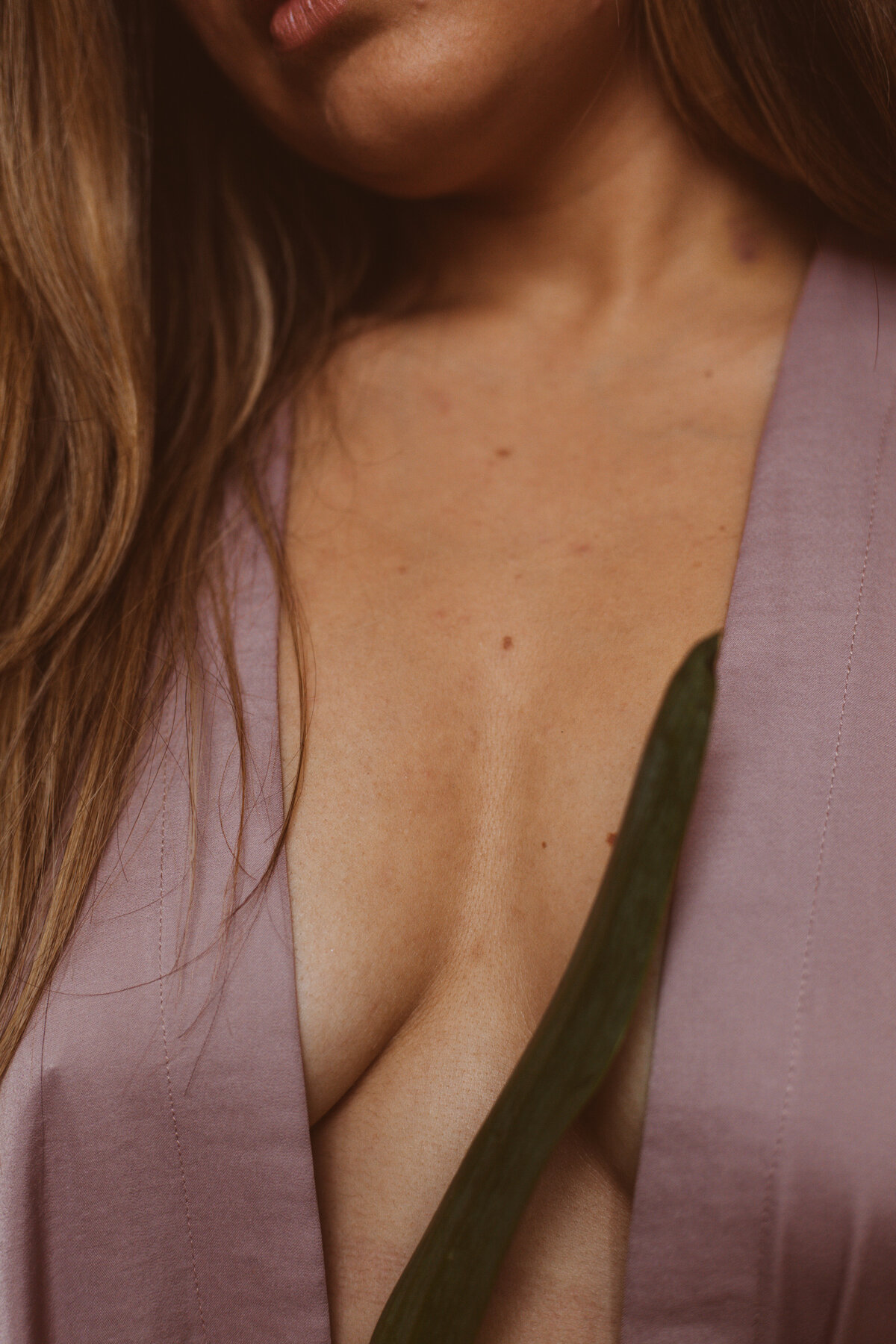 SLCBoudoirPinkTulip-8518