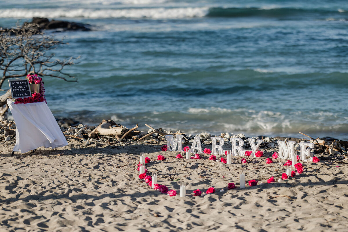 Hawaii-Proposal-Big-Island-Engagement (4)