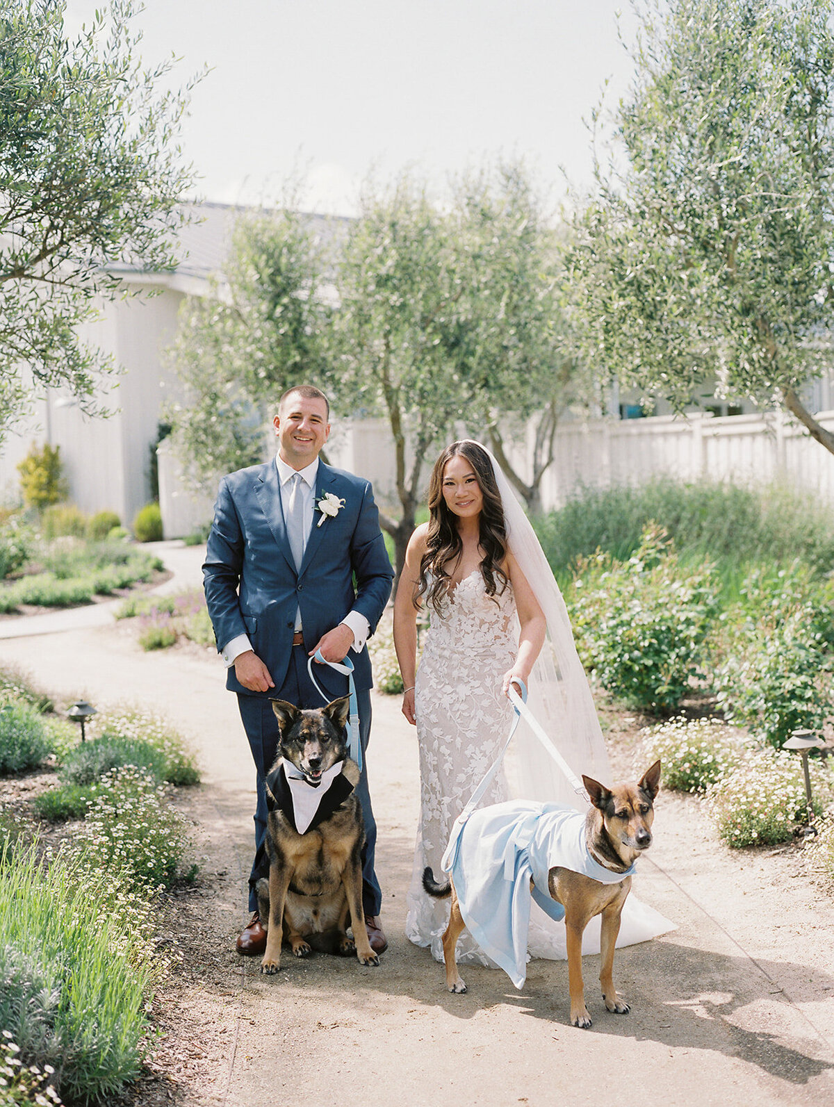 Luxury-Wedding-The-Barn-at-Harrow-Cellars-Sonoma-CA84