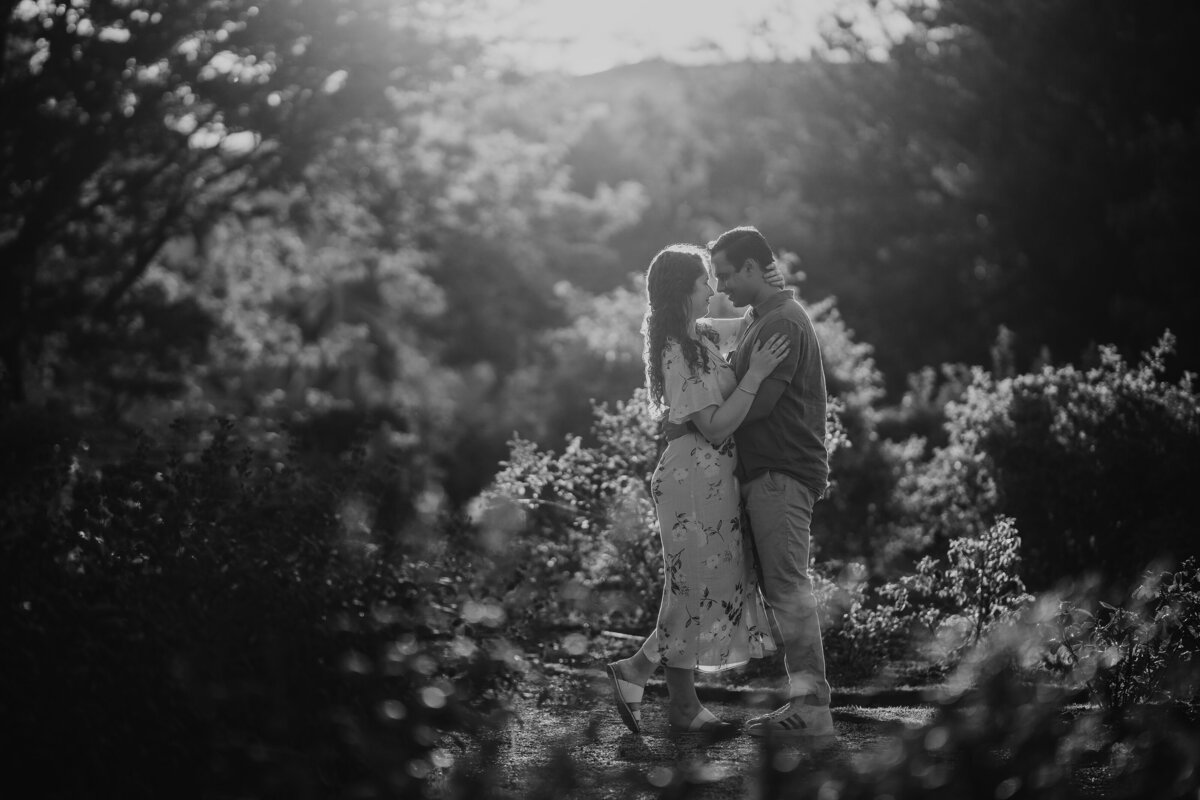 engagement-41