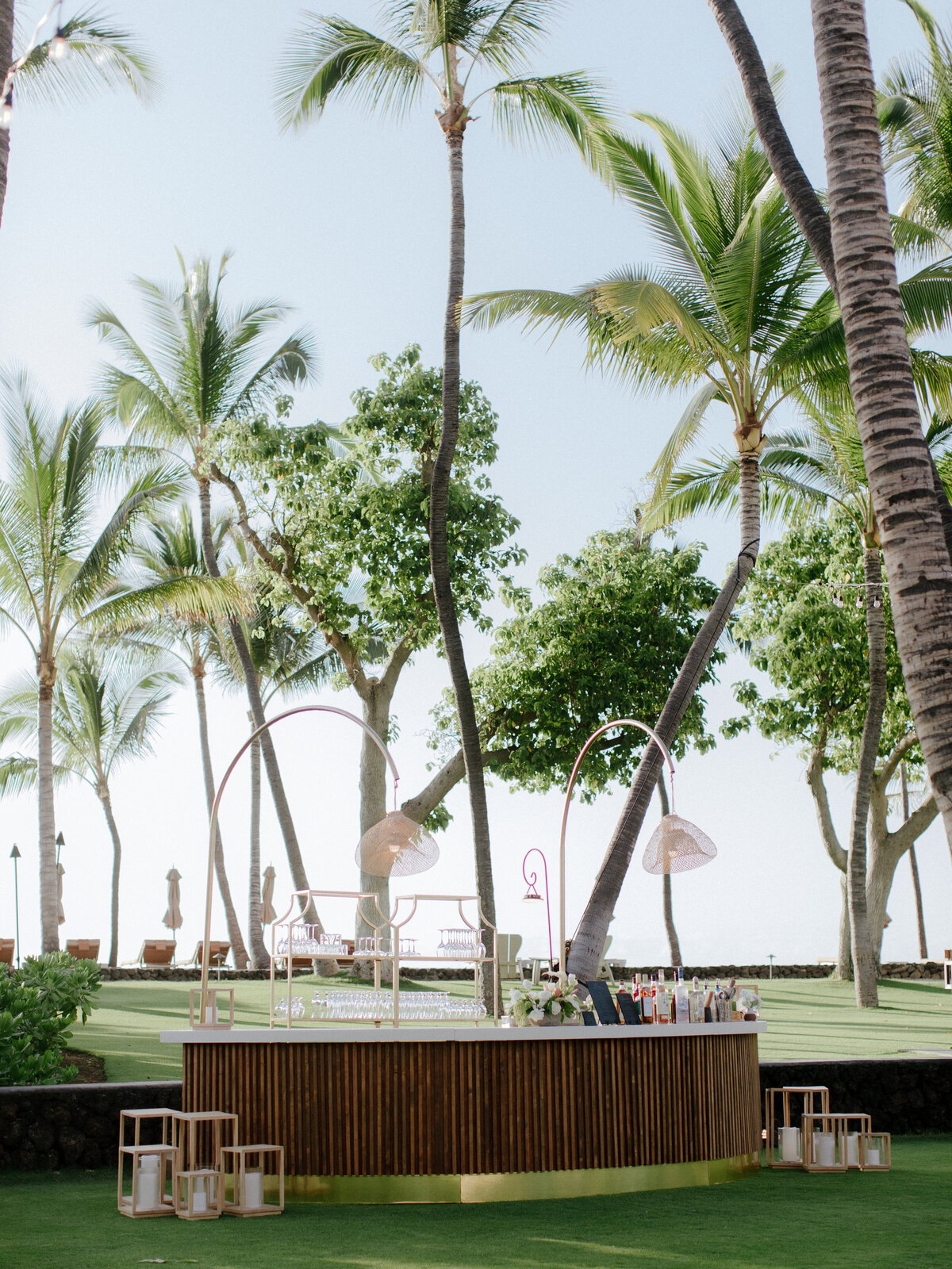 15- Chris_J_Evans_rosewood_kona_AA5616