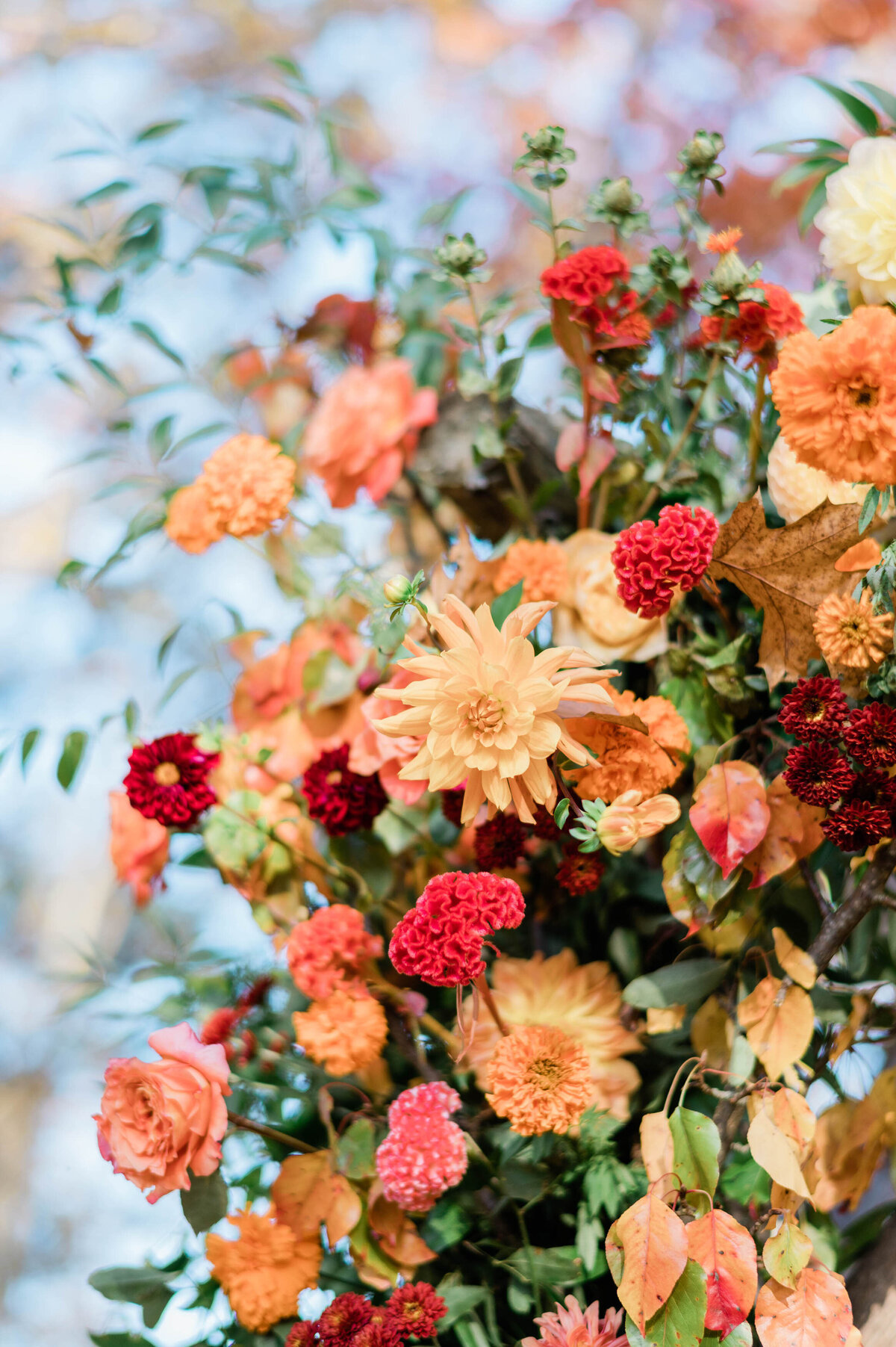 A close-up of the flowers on the chuppah, with red and peach roses, golden dahlias, and deep burgundy blooms reaching toward the clear blue sky.