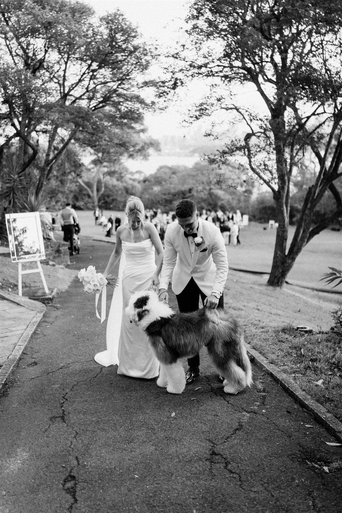 New South Wales Photographer (38)