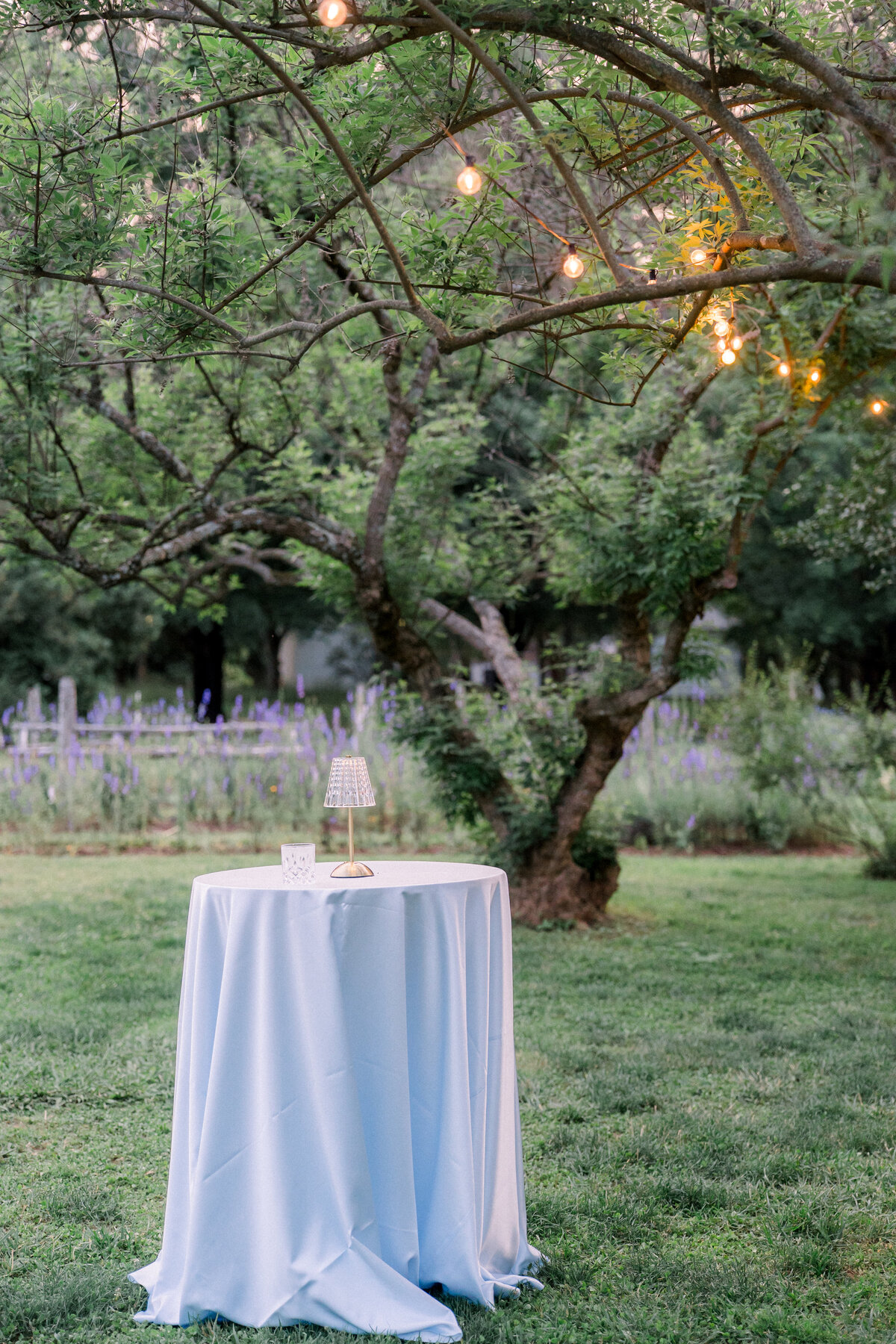 Historic-Tuckahoe-Wedding-Photos-00590 (1)