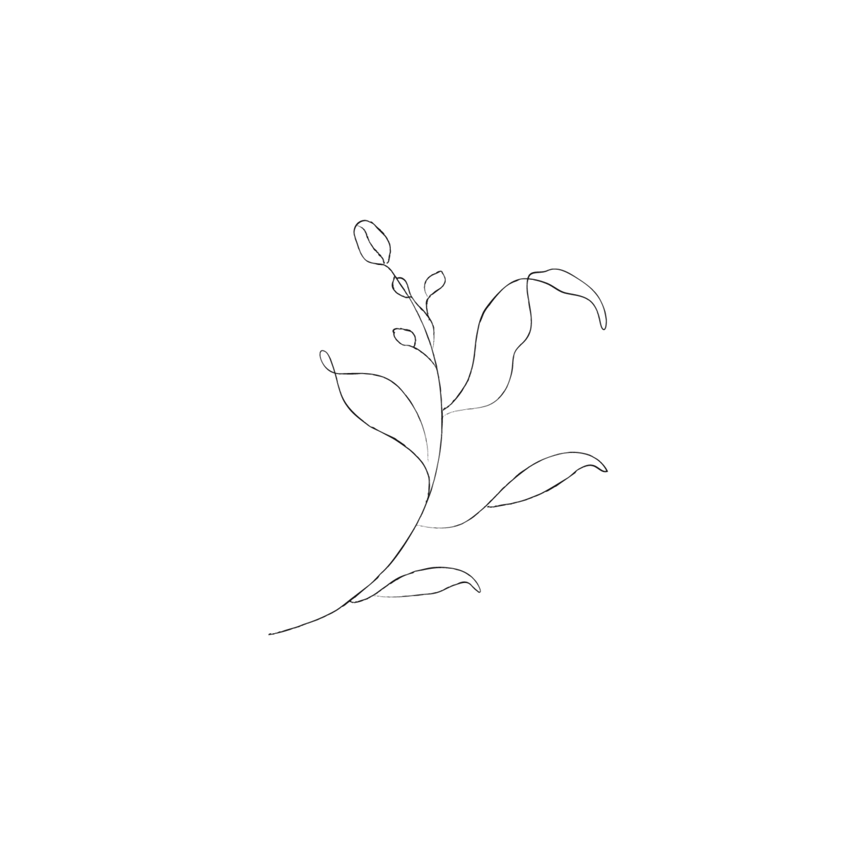 Minimalist Leafy Sketches (individual) - galerie design studio-02