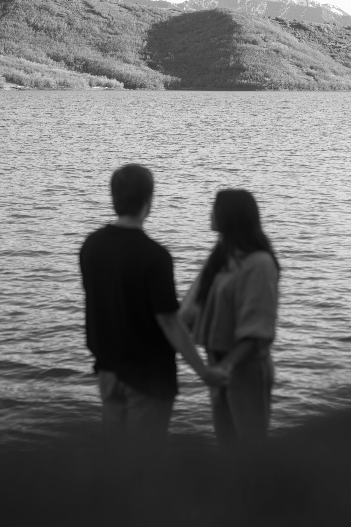RJbw-31