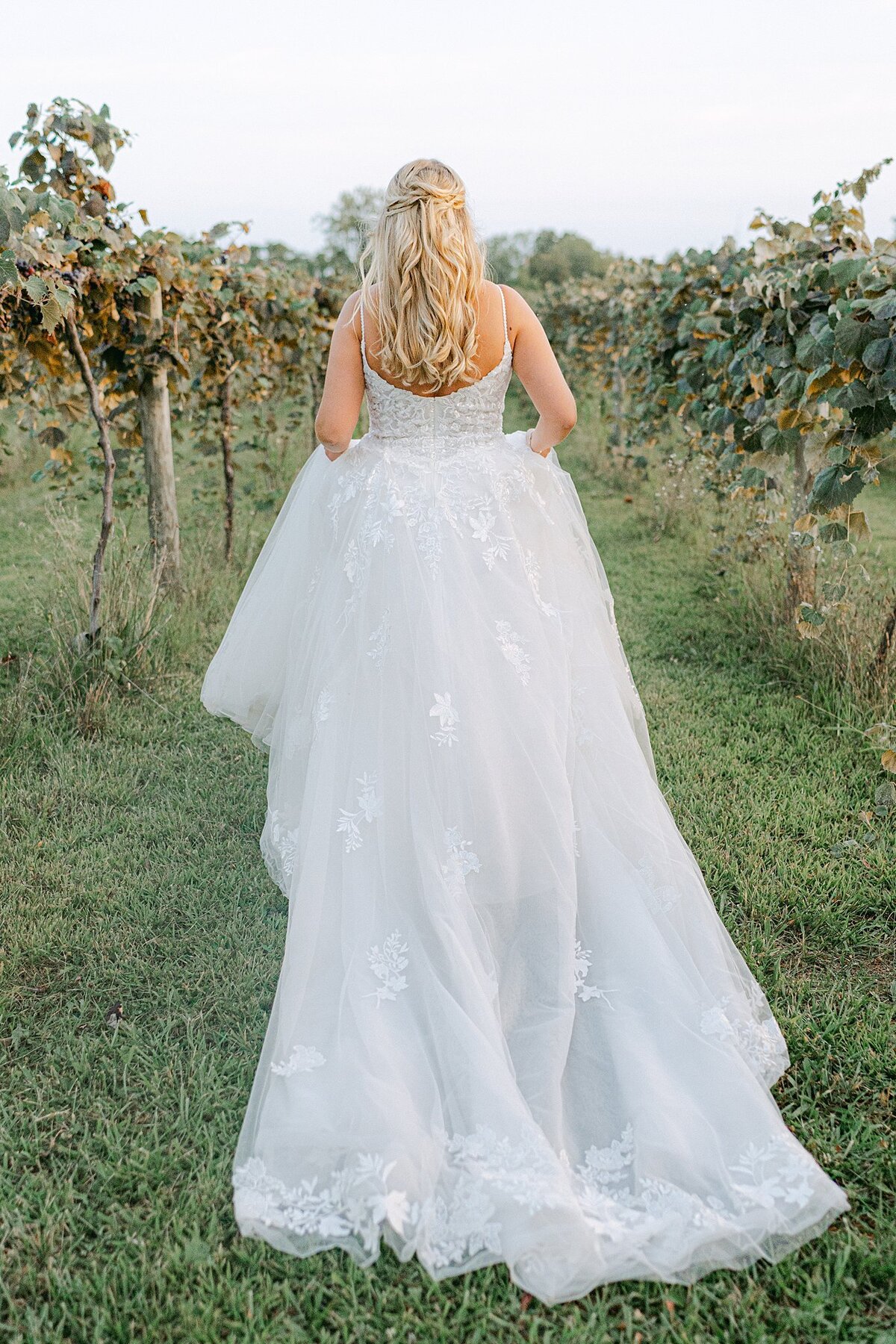 Daniel's Vineyard Wedding Alison Mae Photography_3193