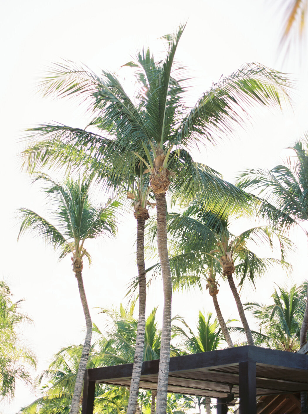 2024_katherine-panteleey-casa-de-campo-film-11