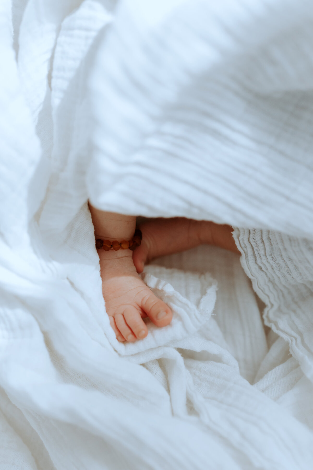 Los Angeles Newborn Photographer 43