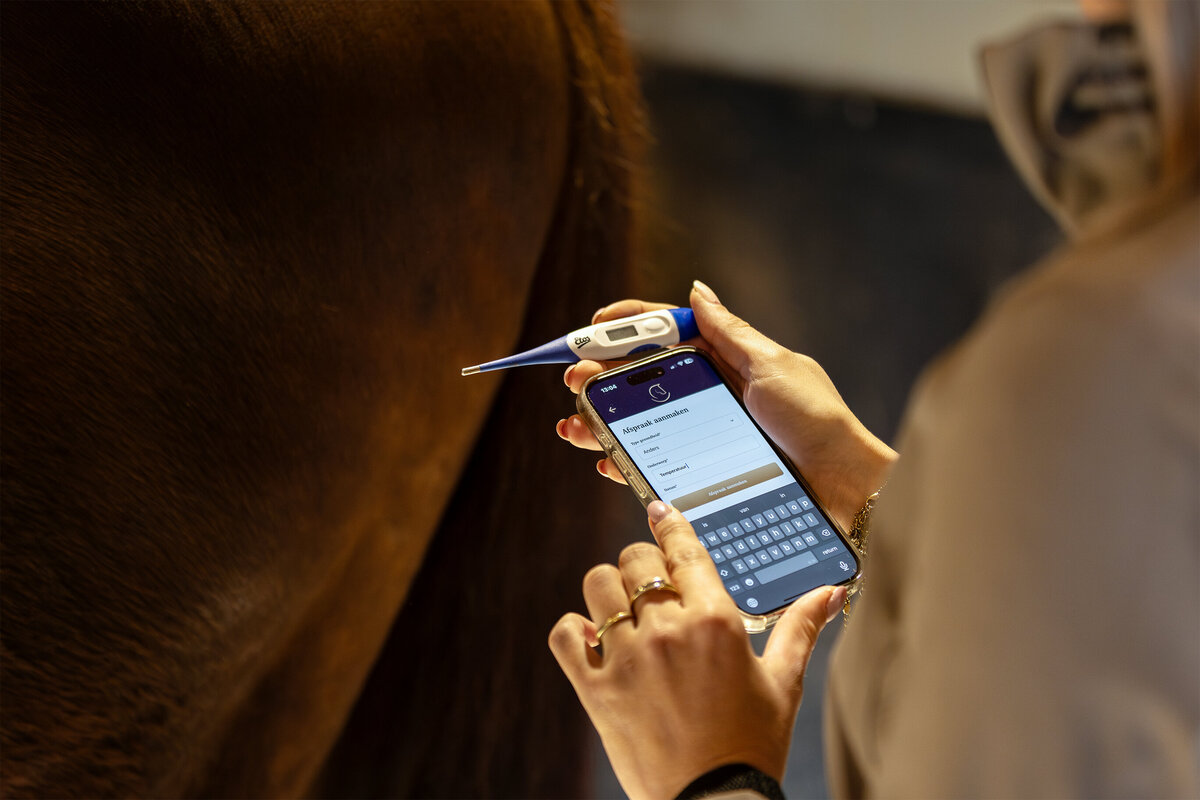 Log my horse 2 - LR