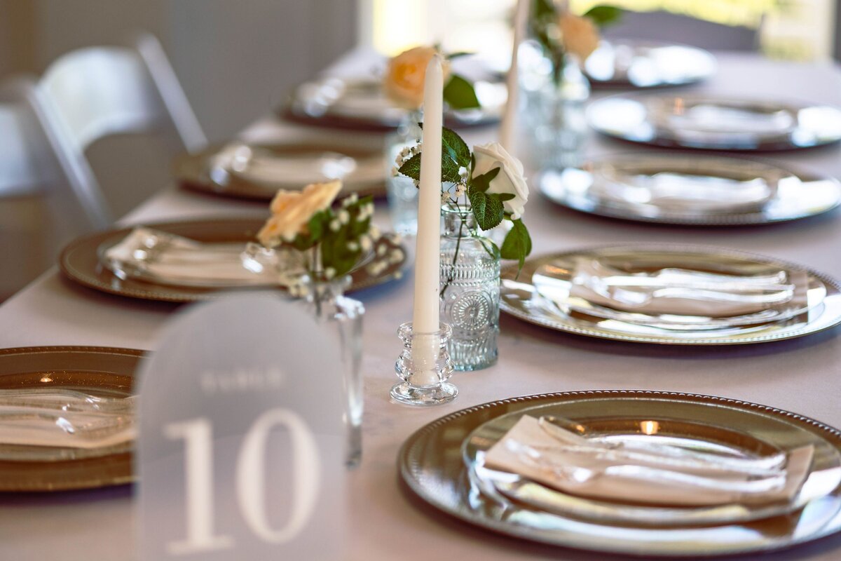 phenix_city_engagement_photographs