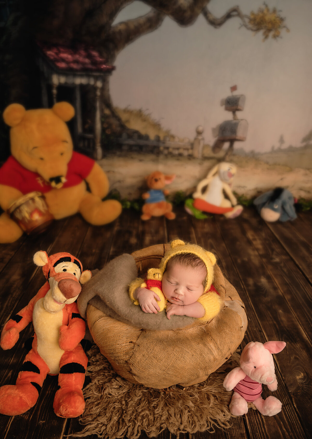 Winnie the Pooh newborn  photography  portrait in Greater Toronto, ON.