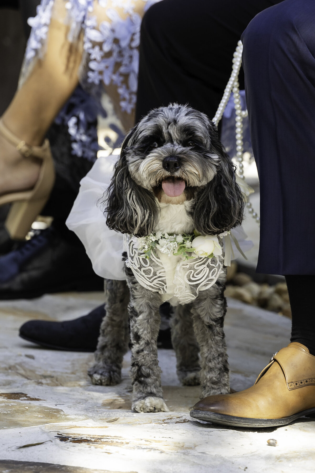 0095-cara-dehart-lewis-photography-del-favero-oasis-tampa-elopement-in-florida-chantilly-chic-celebrations