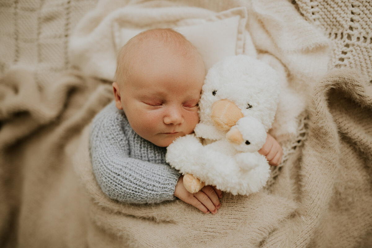 Red Deer Newborn Baby Photographer 146