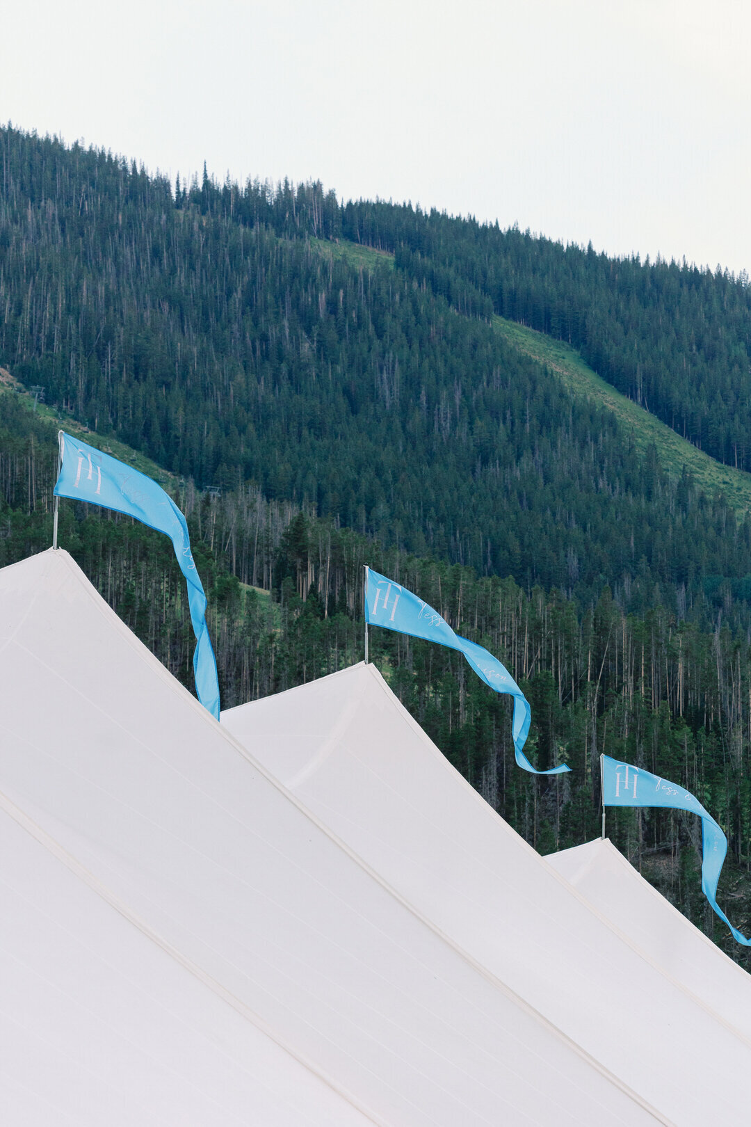 1080 HR TH4 -  Tented Wedding Reception Beaver Creek Colorado Wedding by GoBella 27