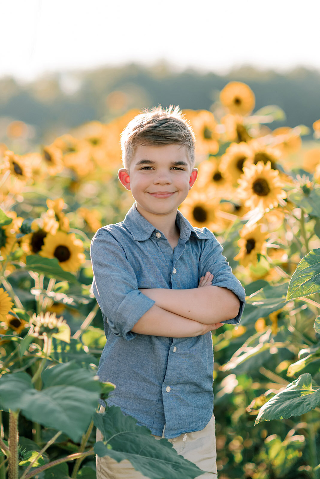 ac-01-sunflower-family-pics