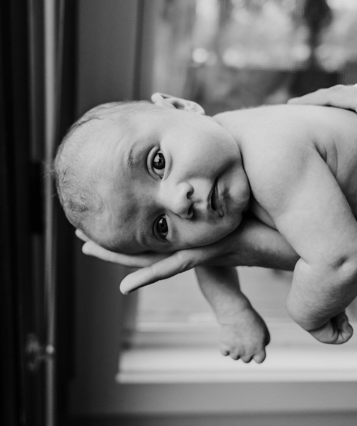Newborn Photography, mother's arm holds baby, baby is wide awake.